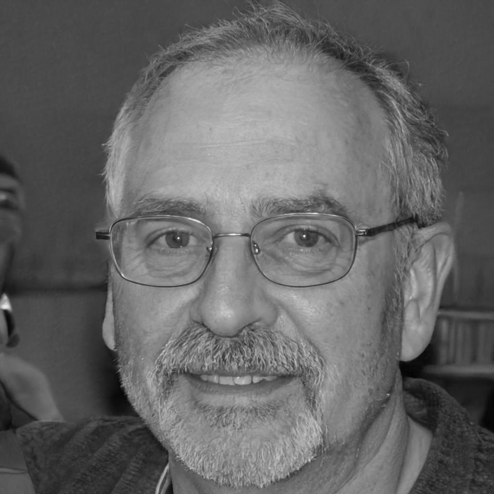 Portretul lui Corneliu Dragomir, fondatorul pavioresonexis